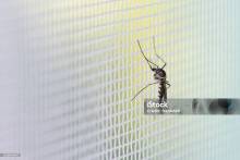 Notre zone d'activité pour ce service Artisan métallier spécialisé dans la pose de pergola en aluminium à